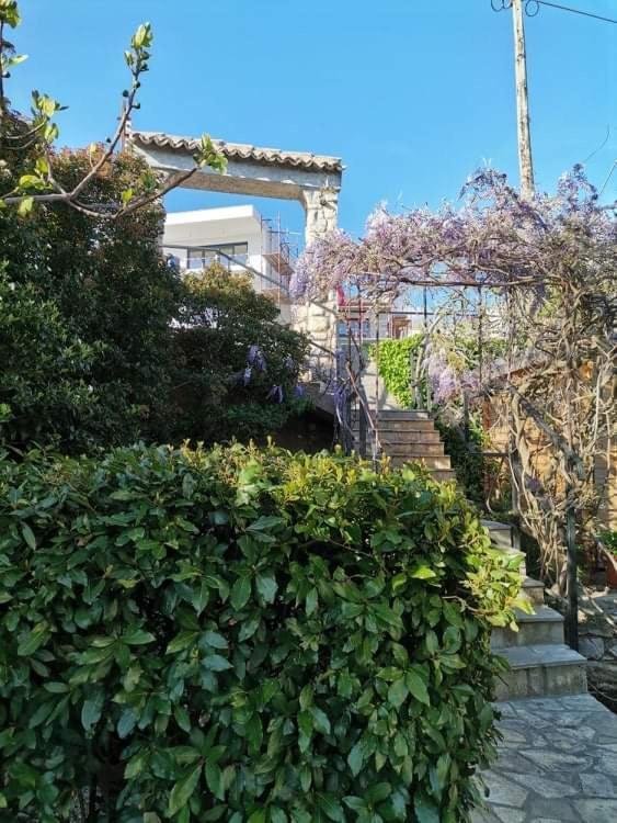 诺维·维诺多尔斯基 桑斯旅馆酒店 外观 照片